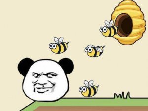 Save the Panda: Puzzle Box Games