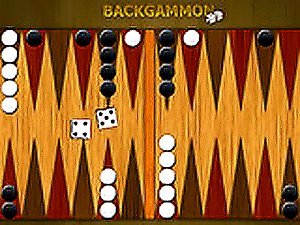 Backgammon Online Game