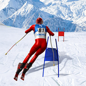 Slalom Ski Simulator 3D Online Game