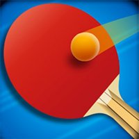 Paddle Pong Online Arcade Game