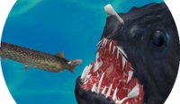 Fish3D Online Multiplayer Game